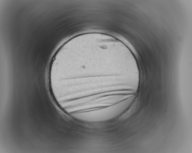 X0000111181101200907291138