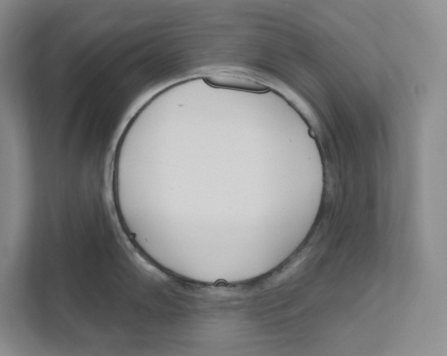 X0000111181102200907291138