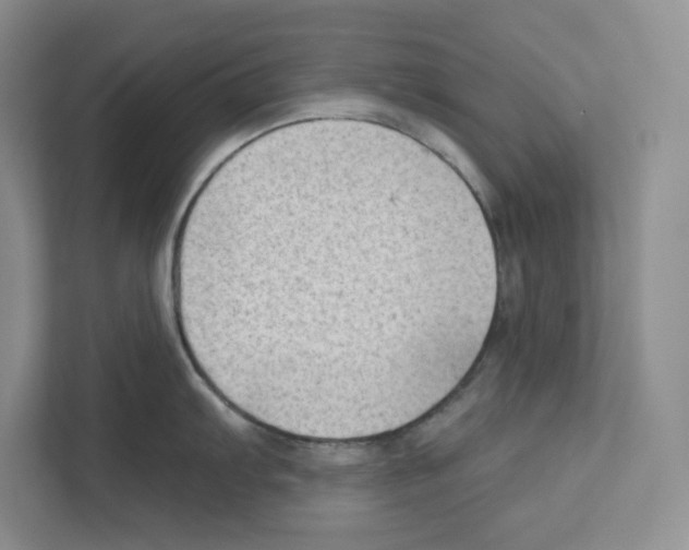 X0000111181103200907291138