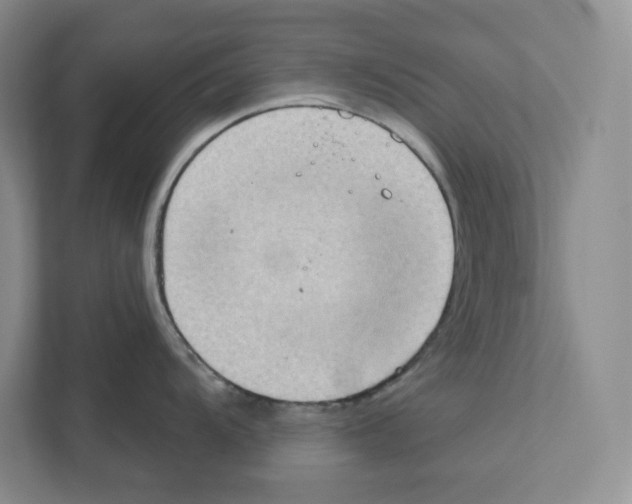 X0000111181104200907291138