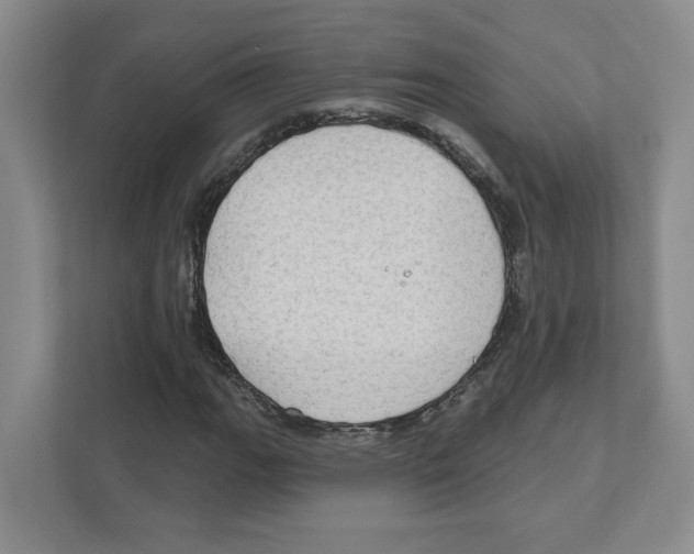 X0000111181111200907291138