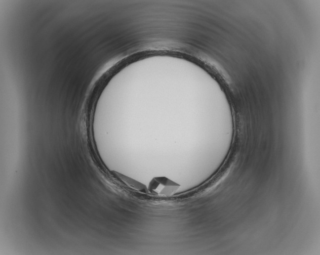 X0000111181114200907291138