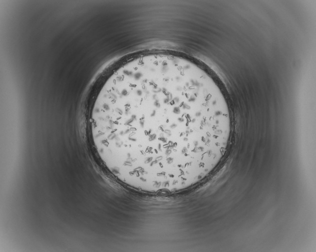 X0000111181115200907291138