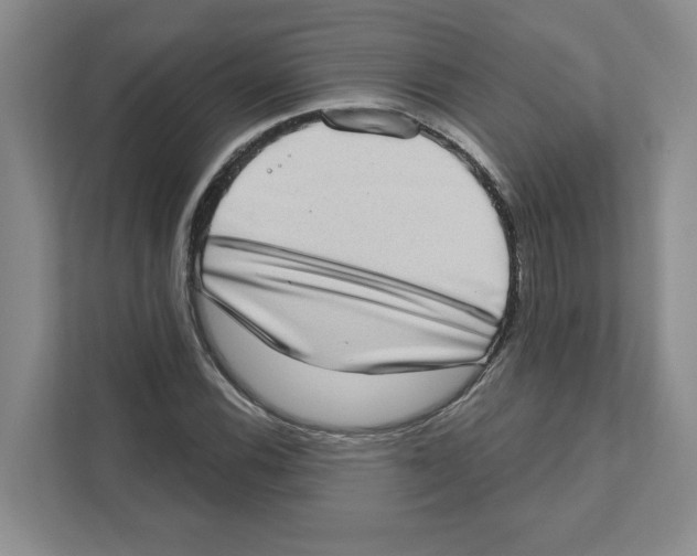 X0000111181116200907291138