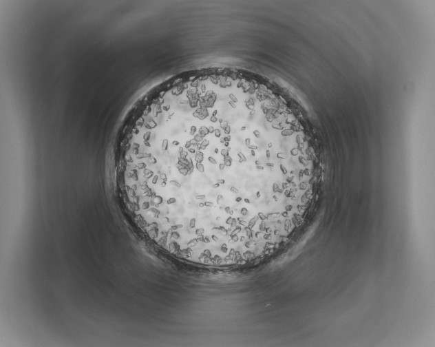 X0000111181117200907291138