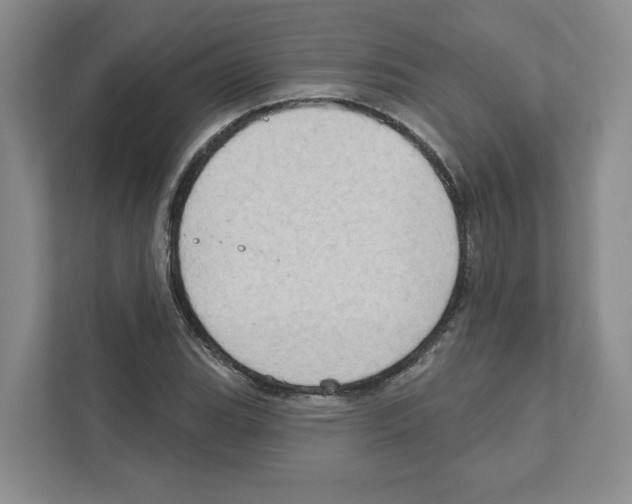 X0000111181119200907291138