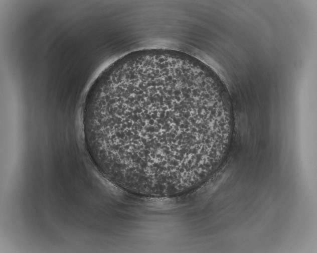 X0000111181120200907291138