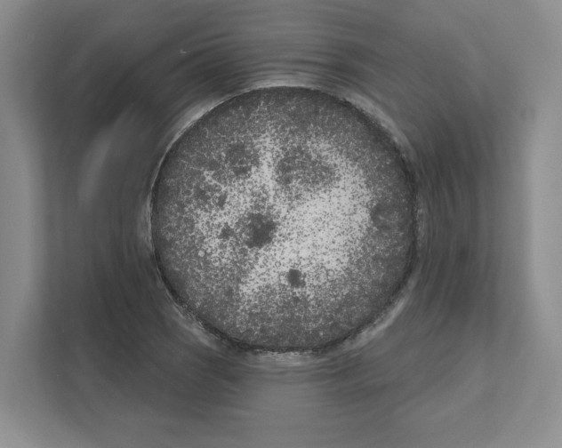 X0000111181121200907291138