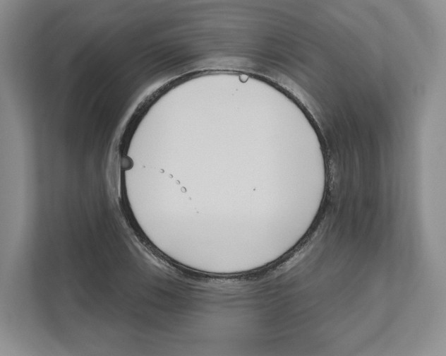 X0000111181123200907291138