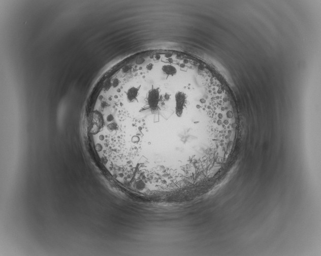 X0000111181125200907291138