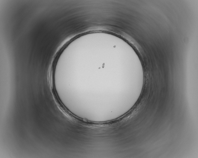 X0000111181127200907291138