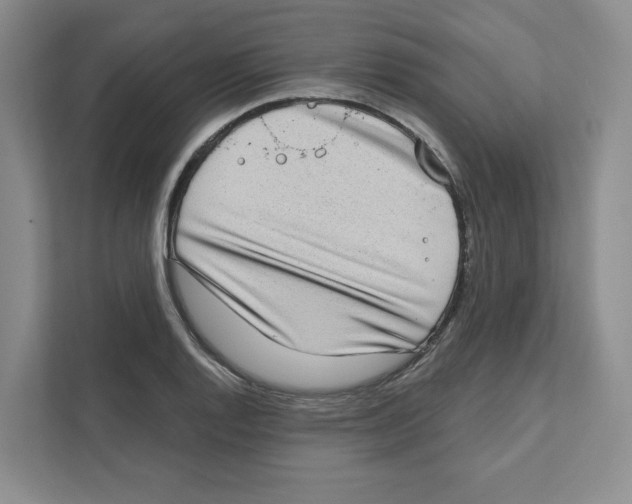 X0000111181128200907291138