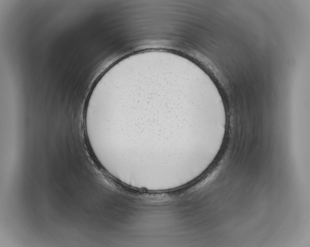 X0000111181129200907291138