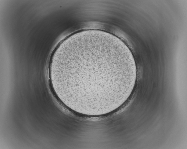 X0000111181130200907291138