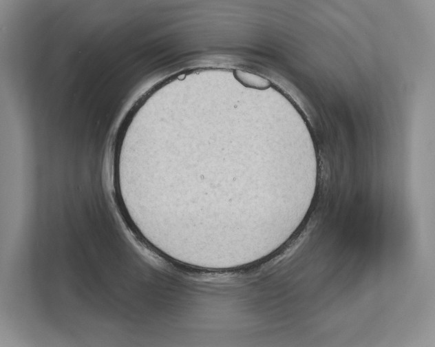 X0000111181131200907291138