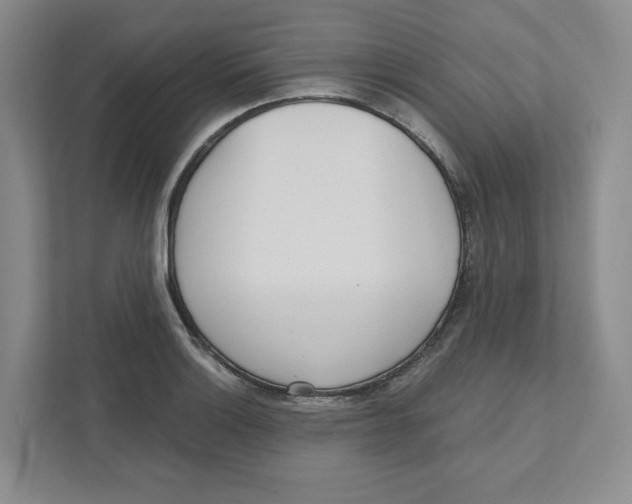 X0000111181132200907291138