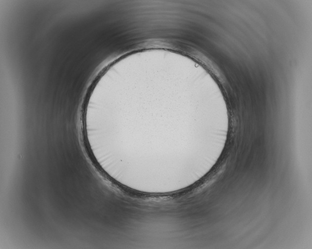 X0000111181133200907291138