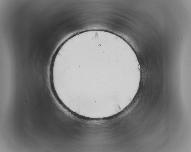 X0000111181134200907291138