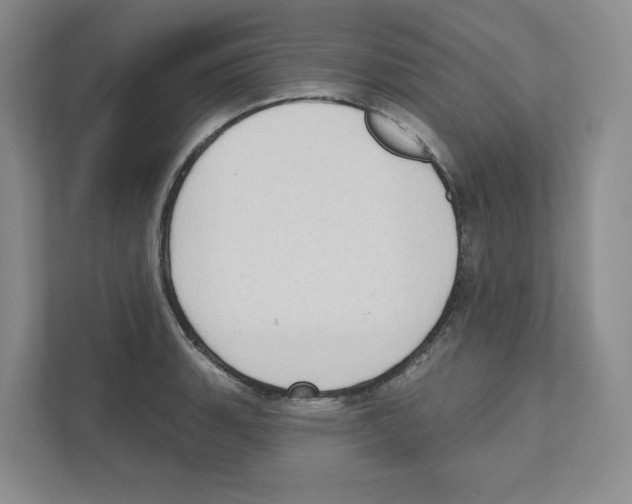 X0000111181135200907291138