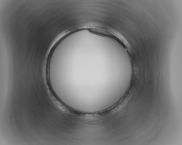 X0000111181138200907291138