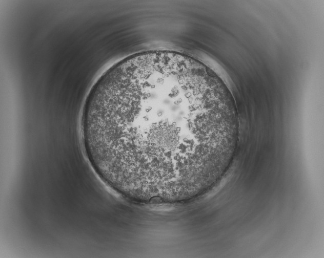 X0000111181141200907291138