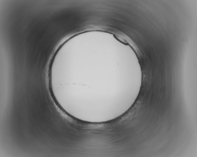 X0000111181143200907291138