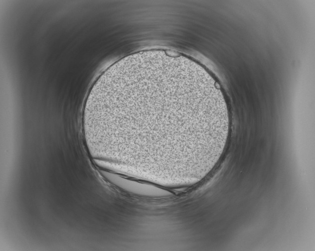 X0000111181145200907291138