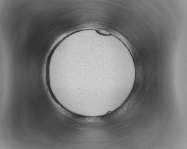 X0000111181147200907291138