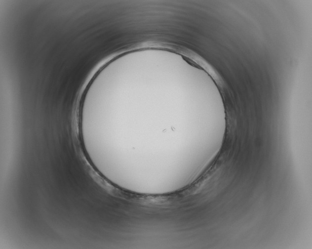 X0000111181148200907291138