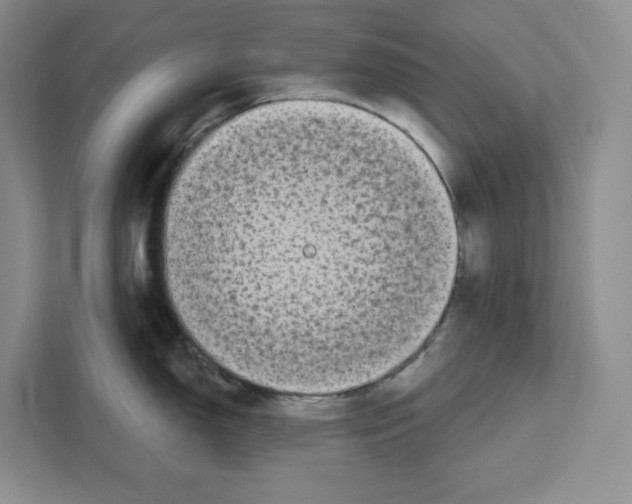 X0000111181150200907291138