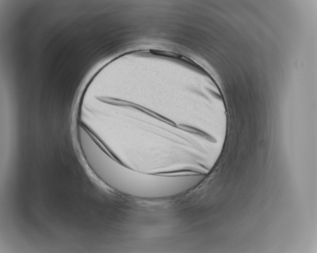 X0000111181152200907291138