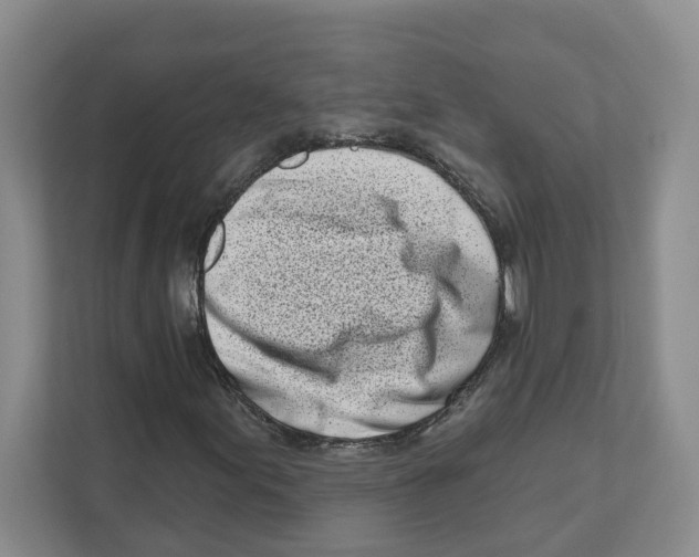 X0000111181155200907291137