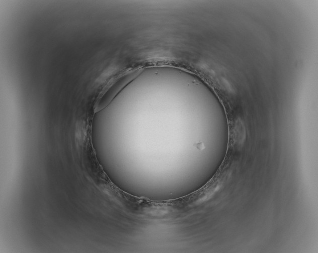 X0000111181157200907291137