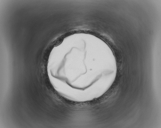 X0000111181159200907291137