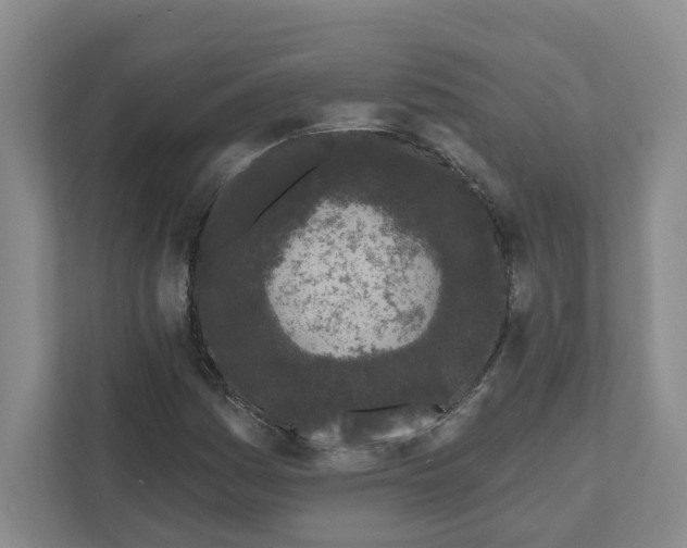 X0000111181161200907291137