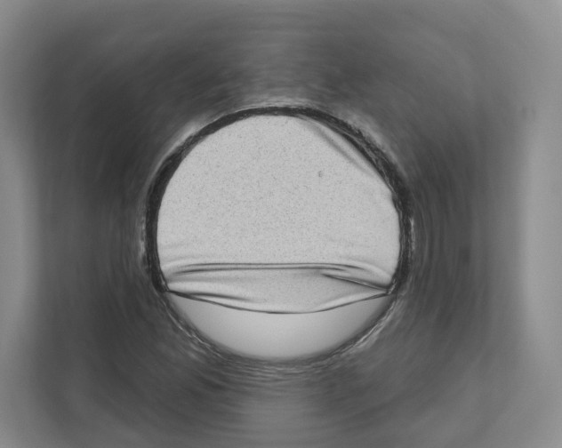 X0000111181165200907291137