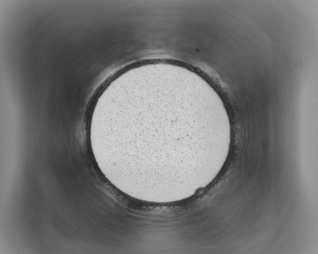 X0000111181167200907291137