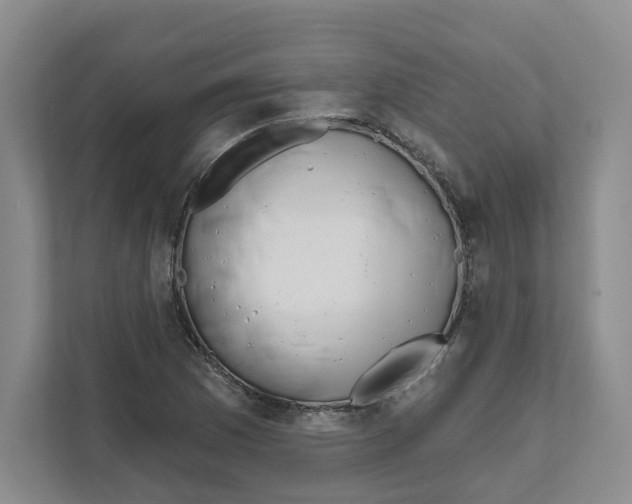 X0000111181169200907291137