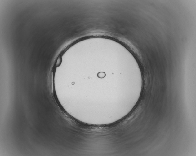 X0000111181175200907291137