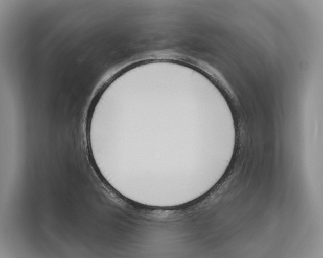 X0000111181176200907291137