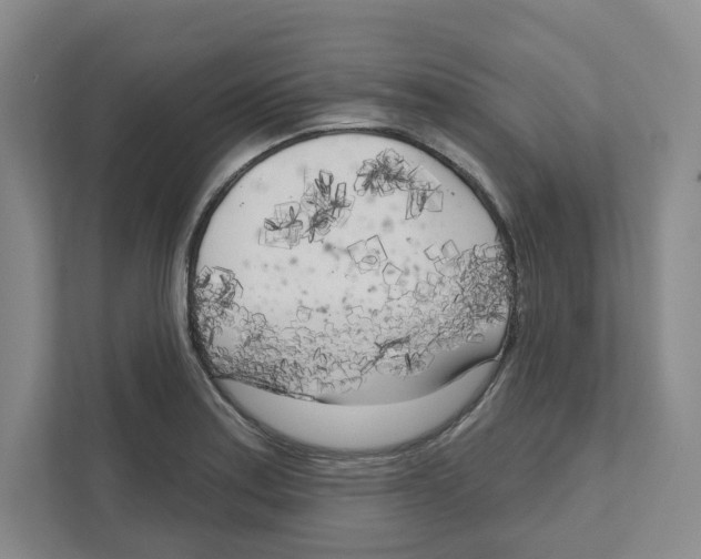 X0000111181179200907291137