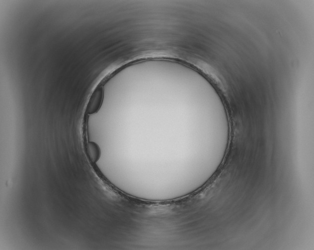 X0000111181181200907291137