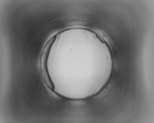 X0000111181189200907291137