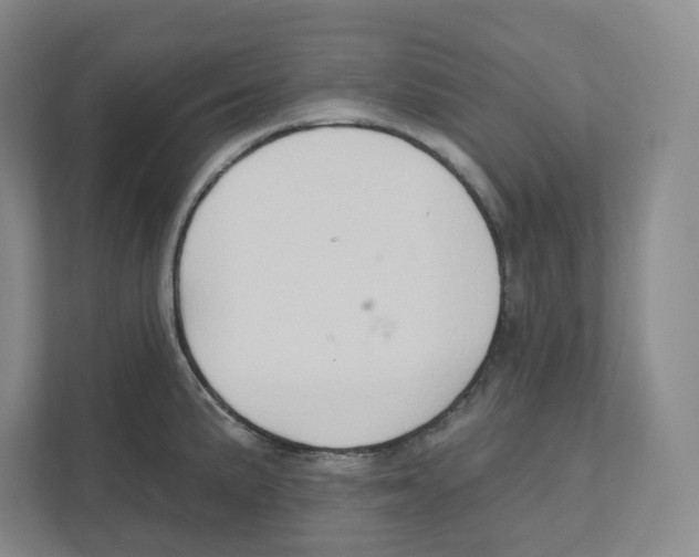 X0000111181191200907291137