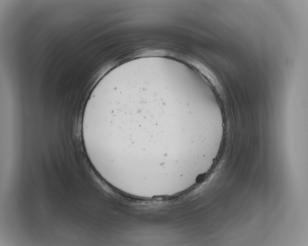 X0000111181193200907291137