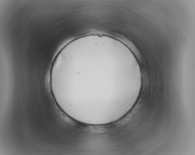 X0000111181198200907291137