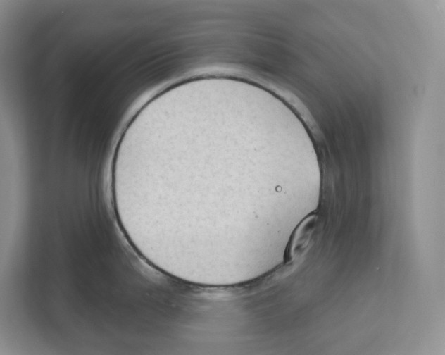 X0000111181199200907291137