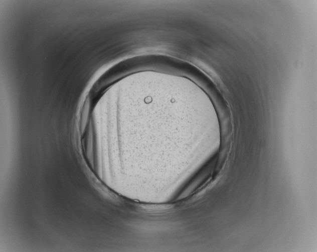 X0000111181200200907291137