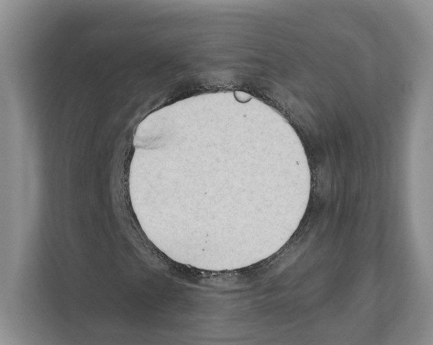 X0000111181201200907291136