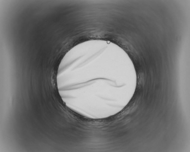 X0000111181202200907291136